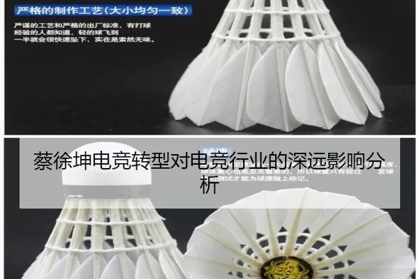 蔡徐坤电竞转型对电竞行业的深远影响分析