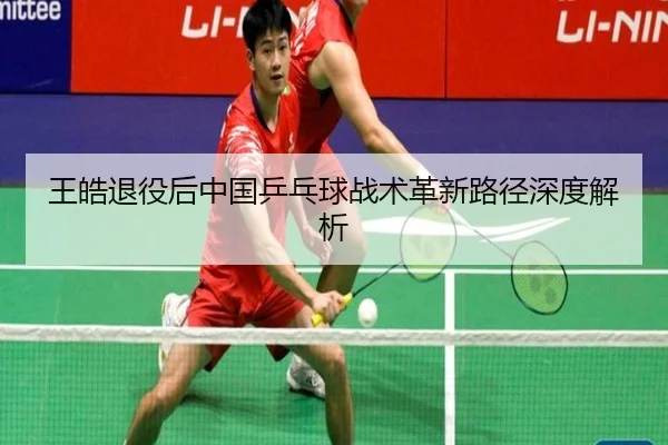 王皓退役后中国乒乓球战术革新路径深度解析