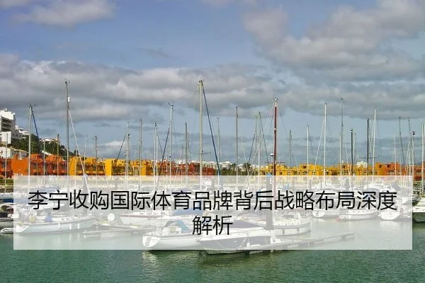 李宁收购国际体育品牌背后战略布局深度解析