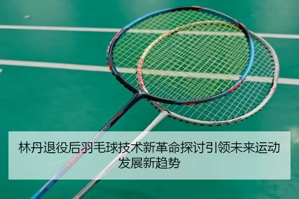林丹退役后羽毛球技术新革命探讨引领未来运动发展新趋势