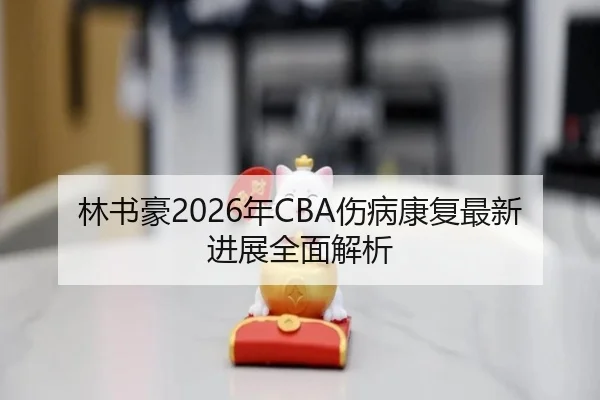 林书豪2026年CBA伤病康复最新进展全面解析